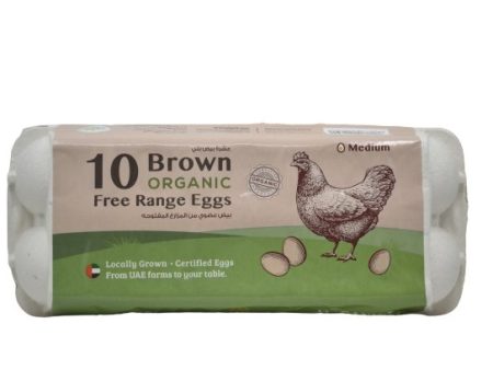 Organic Free Range Eggs 10 Pcs Online Hot Sale