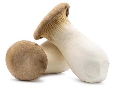 Oyster King Mushroom 200g Hot on Sale