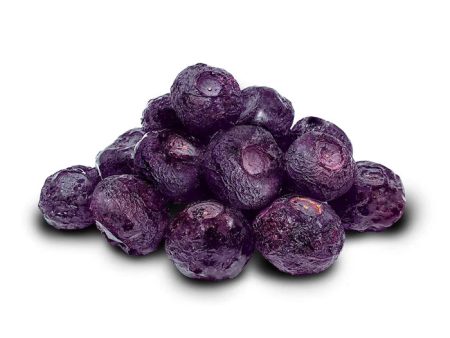 Freeze Dried Grapes Whole Bulk 500g Online now