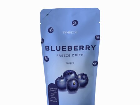 Tamreem Blueberry Freeze Dried Fruit Snack 20g Sale