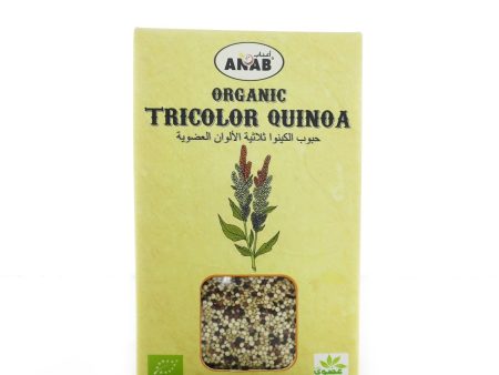 Organic Quinoa Tricolor 340g For Cheap