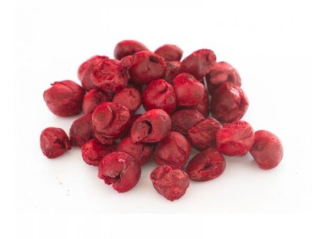 Freeze Dried Sour Cherry Whole Bulk 500g on Sale