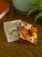 Monarch Butterfly Capiz Shell Box Hot on Sale