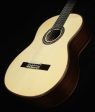 Used Cordoba C10 Spruce Top Nylon-String Acoustic Guitar Online Hot Sale